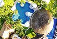 Navutu Dreams Resort & Wellness Retreat в Сием Риеп Камбоджа ✅. Забронировать номер онлайн по выгодной цене в Navutu Dreams Resort & Wellness Retreat. Трансфер из аэропорта.