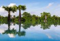 Hillocks Hotel & Spa в Сием Риеп Камбоджа ✅. Забронировать номер онлайн по выгодной цене в Hillocks Hotel & Spa. Трансфер из аэропорта.