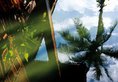 Belmond La Residence d'Angkor в Сием Риеп Камбоджа ✅. Забронировать номер онлайн по выгодной цене в Belmond La Residence d'Angkor. Трансфер из аэропорта.