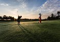 Sofitel Angkor Phokeethra Golf & Spa Resort в Сием Риеп Камбоджа ✅. Забронировать номер онлайн по выгодной цене в Sofitel Angkor Phokeethra Golf & Spa Resort. Трансфер из аэропорта.