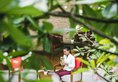 Anantara Angkor Resort в Сием Риеп Камбоджа ✅. Забронировать номер онлайн по выгодной цене в Anantara Angkor Resort. Трансфер из аэропорта.