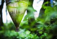 Anantara Angkor Resort в Сием Риеп Камбоджа ✅. Забронировать номер онлайн по выгодной цене в Anantara Angkor Resort. Трансфер из аэропорта.