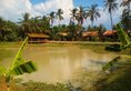 Tan Sour Resort в Сием Риеп Камбоджа ✅. Забронировать номер онлайн по выгодной цене в Tan Sour Resort. Трансфер из аэропорта.
