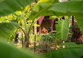 Tan Sour Resort в Сием Риеп Камбоджа ✅. Забронировать номер онлайн по выгодной цене в Tan Sour Resort. Трансфер из аэропорта.