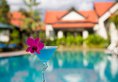 Spring Palace Resort Hotel в Сием Риеп Камбоджа ✅. Забронировать номер онлайн по выгодной цене в Spring Palace Resort Hotel. Трансфер из аэропорта.