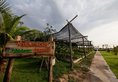 Angkor Rendezvous (Pool Villa) в Сием Риеп Камбоджа ✅. Забронировать номер онлайн по выгодной цене в Angkor Rendezvous (Pool Villa). Трансфер из аэропорта.