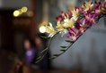Empress Angkor Resort and Spa в Сием Риеп Камбоджа ✅. Забронировать номер онлайн по выгодной цене в Empress Angkor Resort and Spa. Трансфер из аэропорта.