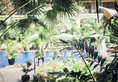 Victoria Angkor Suites в Сием Риеп Камбоджа ✅. Забронировать номер онлайн по выгодной цене в Victoria Angkor Suites. Трансфер из аэропорта.