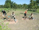 Sokhalay Angkor Residence and Spa в Сием Риеп Камбоджа ✅. Забронировать номер онлайн по выгодной цене в Sokhalay Angkor Residence and Spa. Трансфер из аэропорта.