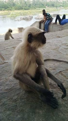 Khajuraho Homestay в Кхаджурахо Индия  ✅. Забронировать номер онлайн по выгодной цене в Khajuraho Homestay. Трансфер из аэропорта.