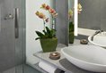 Oasia Hotel Novena, Singapore by Far East Hospitality в Сингапур Сингапур ✅. Забронировать номер онлайн по выгодной цене в Oasia Hotel Novena, Singapore by Far East Hospitality. Трансфер из аэропорта.