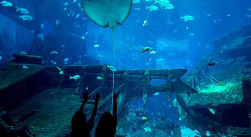 Resorts World Sentosa - Festive Hotel в Сингапур Сингапур ✅. Забронировать номер онлайн по выгодной цене в Resorts World Sentosa - Festive Hotel. Трансфер из аэропорта.