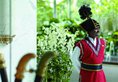 Shangri-La Hotel Singapore в Сингапур Сингапур ✅. Забронировать номер онлайн по выгодной цене в Shangri-La Hotel Singapore. Трансфер из аэропорта.