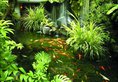 Shangri-La Hotel Singapore в Сингапур Сингапур ✅. Забронировать номер онлайн по выгодной цене в Shangri-La Hotel Singapore. Трансфер из аэропорта.