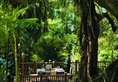 Shangri-La Hotel Singapore в Сингапур Сингапур ✅. Забронировать номер онлайн по выгодной цене в Shangri-La Hotel Singapore. Трансфер из аэропорта.