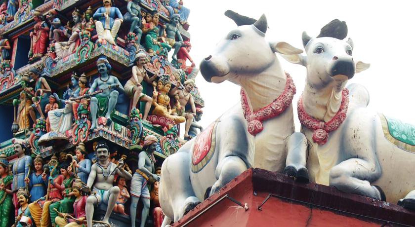 AMOY by Far East Hospitality в Сингапур Сингапур ✅. Забронировать номер онлайн по выгодной цене в AMOY by Far East Hospitality. Трансфер из аэропорта.