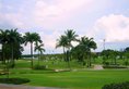 Orchid Country Club в Сингапур Сингапур ✅. Забронировать номер онлайн по выгодной цене в Orchid Country Club. Трансфер из аэропорта.