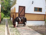 Punggol Ranch в Сингапур Сингапур ✅. Забронировать номер онлайн по выгодной цене в Punggol Ranch. Трансфер из аэропорта.
