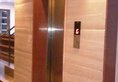 Merit Hotel в Агра Индия  ✅. Забронировать номер онлайн по выгодной цене в Merit Hotel. Трансфер из аэропорта.
