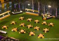 Hotel Clarks Shiraz в Агра Индия  ✅. Забронировать номер онлайн по выгодной цене в Hotel Clarks Shiraz. Трансфер из аэропорта.