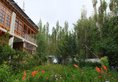 Hotel Ladakh Greens в Лех Индия  ✅. Забронировать номер онлайн по выгодной цене в Hotel Ladakh Greens. Трансфер из аэропорта.
