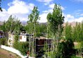 Hotel Ladakh Greens в Лех Индия  ✅. Забронировать номер онлайн по выгодной цене в Hotel Ladakh Greens. Трансфер из аэропорта.