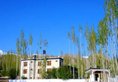 Hotel Ladakh Greens в Лех Индия  ✅. Забронировать номер онлайн по выгодной цене в Hotel Ladakh Greens. Трансфер из аэропорта.