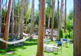 Hotel Shambhala в Лех Индия  ✅. Забронировать номер онлайн по выгодной цене в Hotel Shambhala. Трансфер из аэропорта.