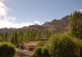 Hotel Royal Ladakh в Лех Индия  ✅. Забронировать номер онлайн по выгодной цене в Hotel Royal Ladakh. Трансфер из аэропорта.