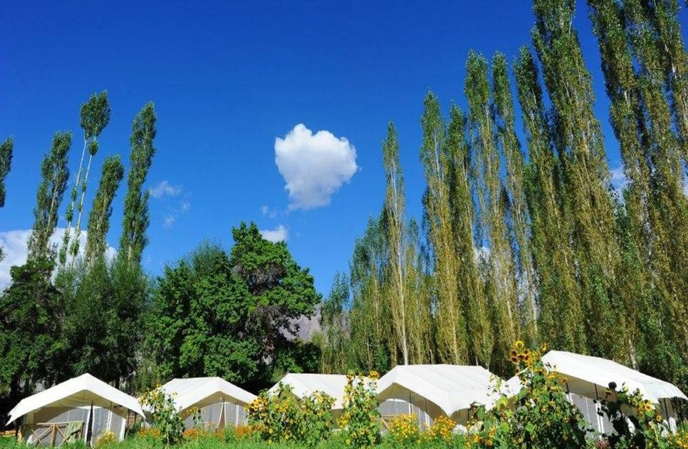Hotel Mystique Meadows Camp в Лех Индия  ✅. Забронировать номер онлайн по выгодной цене в Hotel Mystique Meadows Camp. Трансфер из аэропорта.