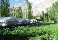 Hotel Mystique Meadows Camp в Лех Индия  ✅. Забронировать номер онлайн по выгодной цене в Hotel Mystique Meadows Camp. Трансфер из аэропорта.