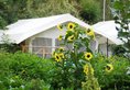 Hotel Mystique Meadows Camp в Лех Индия  ✅. Забронировать номер онлайн по выгодной цене в Hotel Mystique Meadows Camp. Трансфер из аэропорта.