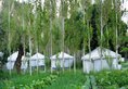 Hotel Mystique Meadows Camp в Лех Индия  ✅. Забронировать номер онлайн по выгодной цене в Hotel Mystique Meadows Camp. Трансфер из аэропорта.