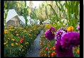 Hotel Mystique Meadows Camp в Лех Индия  ✅. Забронировать номер онлайн по выгодной цене в Hotel Mystique Meadows Camp. Трансфер из аэропорта.