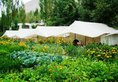Hotel Mystique Meadows Camp в Лех Индия  ✅. Забронировать номер онлайн по выгодной цене в Hotel Mystique Meadows Camp. Трансфер из аэропорта.