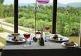 Tree of Life Resort & Spa, Jaipur в Джайпур Индия  ✅. Забронировать номер онлайн по выгодной цене в Tree of Life Resort & Spa, Jaipur. Трансфер из аэропорта.