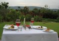 Tree of Life Resort & Spa, Jaipur в Джайпур Индия  ✅. Забронировать номер онлайн по выгодной цене в Tree of Life Resort & Spa, Jaipur. Трансфер из аэропорта.