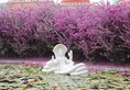 Tree of Life Resort & Spa, Jaipur в Джайпур Индия  ✅. Забронировать номер онлайн по выгодной цене в Tree of Life Resort & Spa, Jaipur. Трансфер из аэропорта.