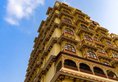 Umaid Haveli Hotel & Resorts в Джайпур Индия  ✅. Забронировать номер онлайн по выгодной цене в Umaid Haveli Hotel & Resorts. Трансфер из аэропорта.