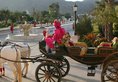 Shiv Vilas Resort в Джайпур Индия  ✅. Забронировать номер онлайн по выгодной цене в Shiv Vilas Resort. Трансфер из аэропорта.