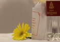Hotel Ratnawali - A Pure Veg Hotel в Джайпур Индия  ✅. Забронировать номер онлайн по выгодной цене в Hotel Ratnawali - A Pure Veg Hotel. Трансфер из аэропорта.