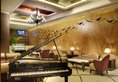 The Fern - An Ecotel Hotel в Джайпур Индия  ✅. Забронировать номер онлайн по выгодной цене в The Fern - An Ecotel Hotel. Трансфер из аэропорта.