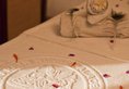 Hotel Narain Niwas Palace в Джайпур Индия  ✅. Забронировать номер онлайн по выгодной цене в Hotel Narain Niwas Palace. Трансфер из аэропорта.
