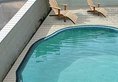 Hotel Royal Palazzo в Джайпур Индия  ✅. Забронировать номер онлайн по выгодной цене в Hotel Royal Palazzo. Трансфер из аэропорта.