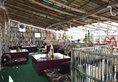 OYO Rooms Tonk Road(JAI321) в Джайпур Индия  ✅. Забронировать номер онлайн по выгодной цене в OYO Rooms Tonk Road(JAI321). Трансфер из аэропорта.