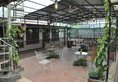 Kailrugji The Hotel в Джайпур Индия  ✅. Забронировать номер онлайн по выгодной цене в Kailrugji The Hotel. Трансфер из аэропорта.