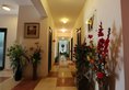 Hotel Hari Villa в Джайпур Индия  ✅. Забронировать номер онлайн по выгодной цене в Hotel Hari Villa. Трансфер из аэропорта.
