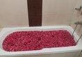 Amer City Heritage Hotel в Джайпур Индия  ✅. Забронировать номер онлайн по выгодной цене в Amer City Heritage Hotel. Трансфер из аэропорта.