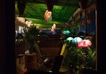 Hotel Harsh Paradise в Джайпур Индия  ✅. Забронировать номер онлайн по выгодной цене в Hotel Harsh Paradise. Трансфер из аэропорта.