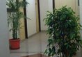 Hotel Roma Palace в Джайпур Индия  ✅. Забронировать номер онлайн по выгодной цене в Hotel Roma Palace. Трансфер из аэропорта.